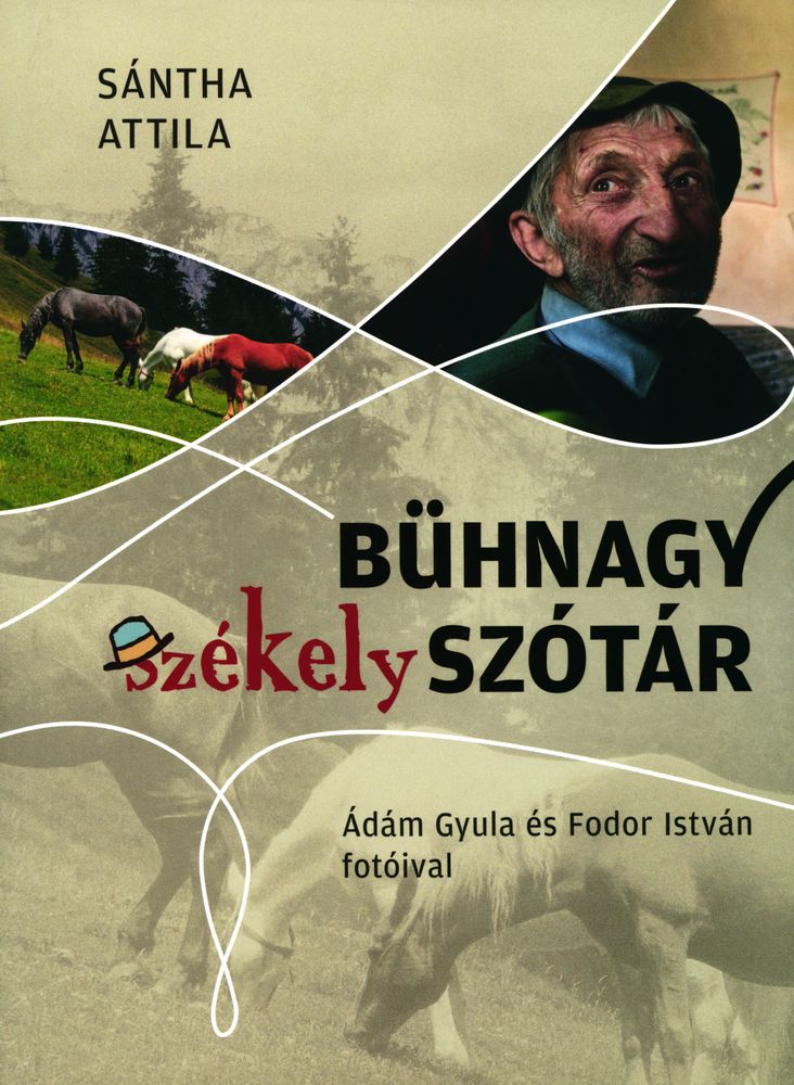 Bühnagy székely szótár